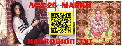 СК Кандалакша