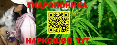 дживик Гатчина