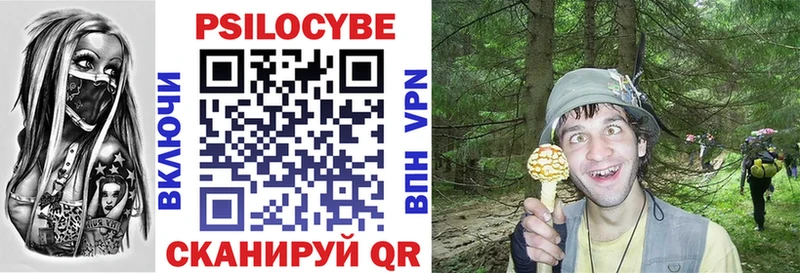что такое   Советский  Галлюциногенные грибы мицелий 