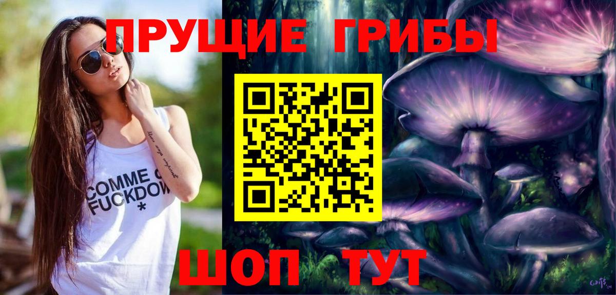 Галлюциногенные грибы Psilocybine cubensis Советский