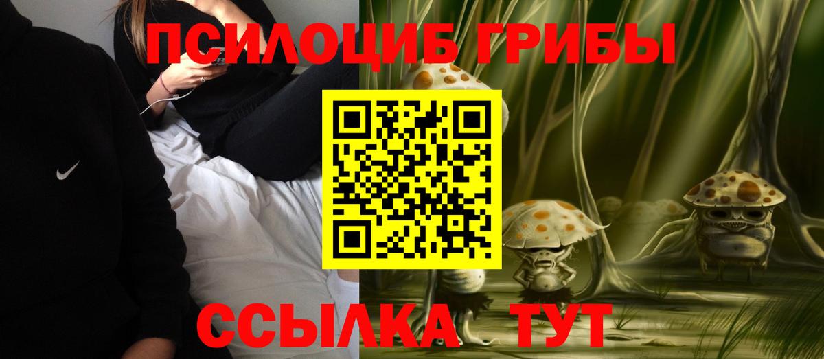 Советский  Псилоцибиновые грибы мухоморы  Вход с VPN 