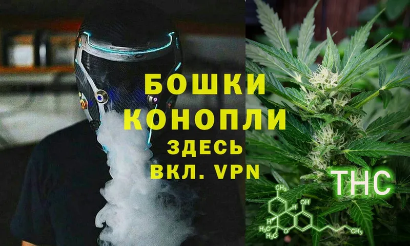 цена   Советский  Бошки Шишки OG Kush 